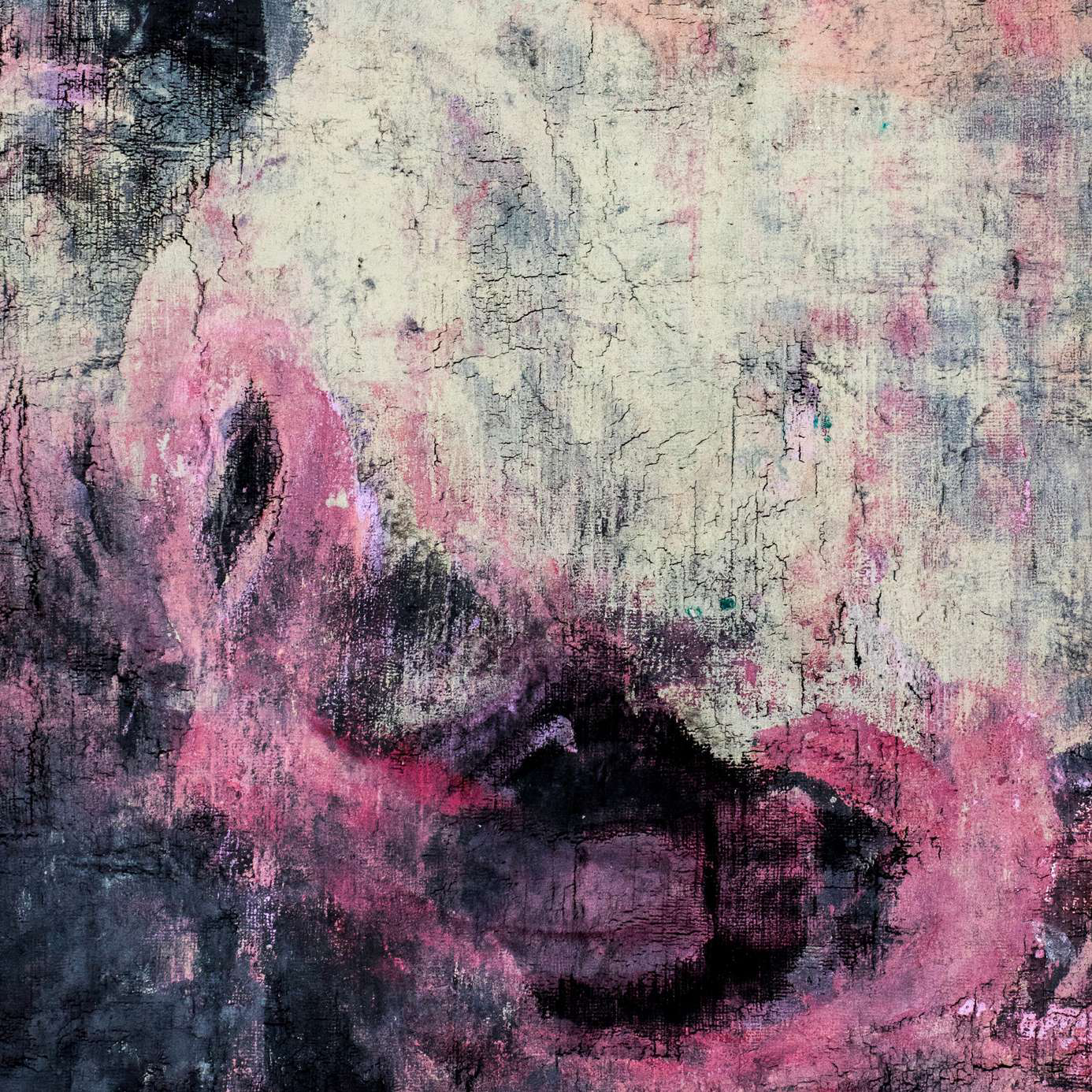 Claudia De Luca, L'animale morente